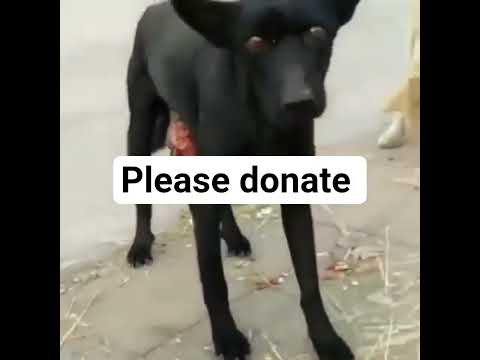 please donate something to support
