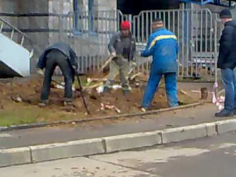 Video: Viešieji darbai+aukštoji - 