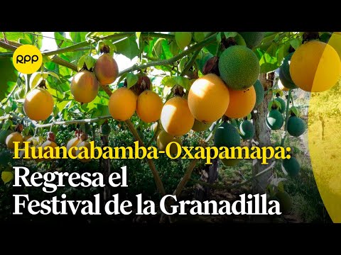 Huancabamba-Oxapampa: el Festival de la Granadilla regresa y será lanzado en Lima
