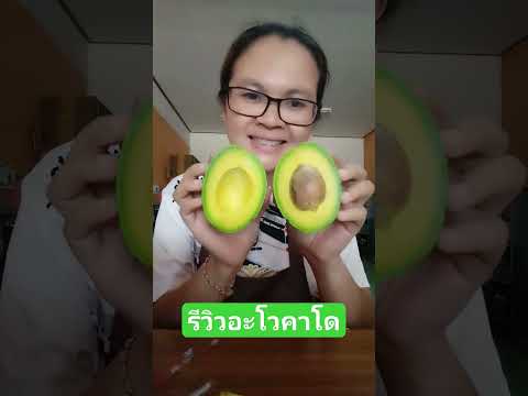 สวนสลิลทิพย์ Channel รีวิวเนื้ออะโวคาโดพันธุ์บีเงิน