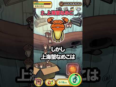 【公式】【アニメでわかる】怒らせるとヤバイなめこ3選【すぐわかるなめこ図鑑】#なめこ #アニメ #なめこ図鑑