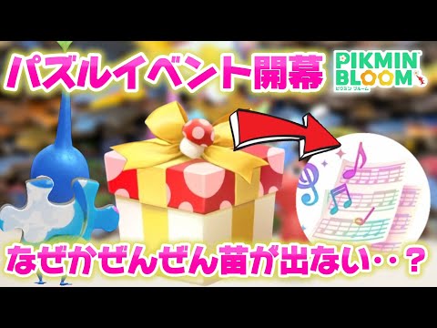 自分だけ？急遽スタートしたパズルイベント、新デコピクミンの苗がミステリーボックスがなかなか出てこない！【#ピクミンブルーム / #PikminBloom 】
