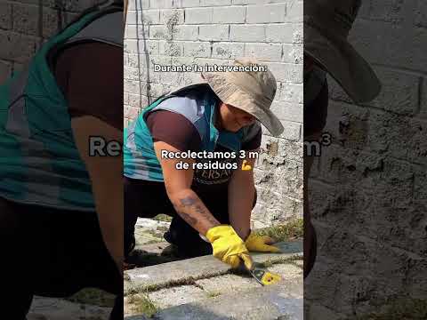 Realizamos una intervención integral en el Parque de La Presidenta.  Medellín, ¡cada día mejor!