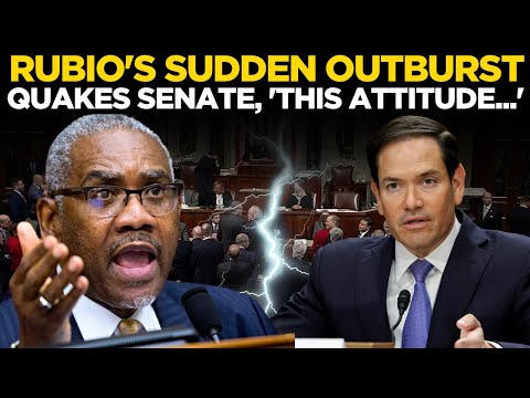 US Senate LIVE: ‘Enough, Not Here For Lessons’: Rubio Suddenly Yells Mid-Response During Hearing