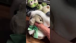 動画サムネイル