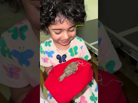 വീട്ടിലെ അപ്രതീക്ഷിത കുഞ്ഞതിഥി 😍😍| kallus nest | 