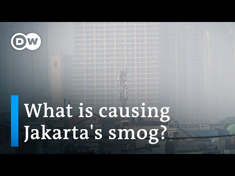 Jakarta ranked most polluted city in the world | DW News