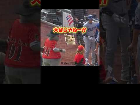 今年もドジャース大谷翔平にイタズラをするジャイアンツ•ルシール<strong>く</strong><strong>ん</strong>￼