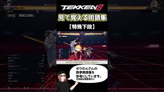 【鉄拳8】見て覚える用語集【特殊下段】