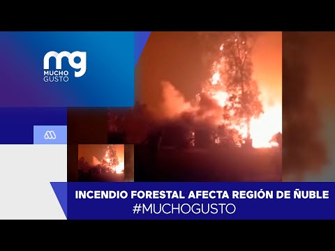 #MuchoGusto / Delegado Presidencial de Ñuble declara al menos 130 hectáreas quemadas en Chillán