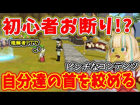ドラクエ10 今から参戦のハードルが高すぎ！？初心者をやさしく受け入れるべきコンテンツを解説！現状初心者お断りのような風潮があるものを紹介