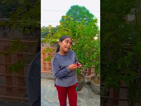 💄 Anant Ne Mummy ki lipstick Khali 🤪🤪#shorts #trending #subscribe