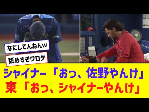 広島・シャイナー、佐野を舐めすぎアウト　→　 DeNA、シャイナーを舐めてスリーラン被弾ｗｗｗ【なんJ反応】