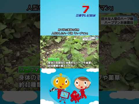 見て学ぶ薬草の世界　人型をしたハーブ畑「ハーブマン」