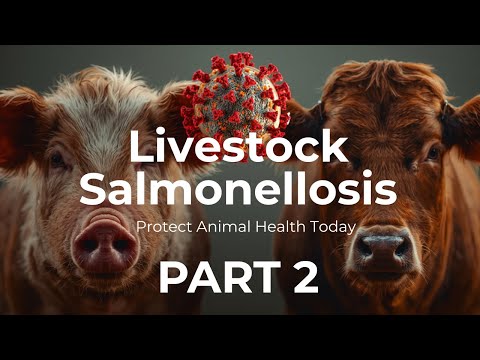 Livestock Salmonellosis | Causes, Symptoms, Prevention & Control in Farm Animals PART 2