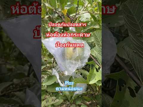 พ้นหน้าฝนต้องห่อแบบป้องกันแดด