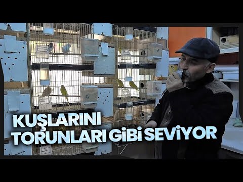 Bir Çiftle Başladı, Evi Sürüyle Doldu