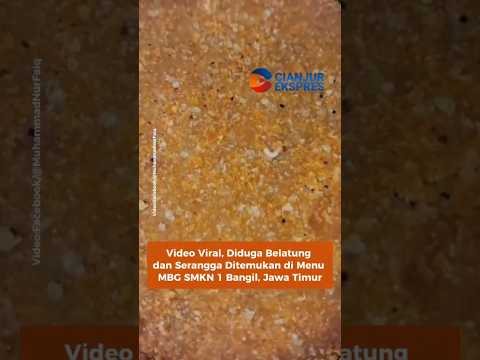 Vidio Viral, Diduga Belatung dan Serangga Ditemukan di Menu MBG SMKN 1 Bangil, Jawa Timur
