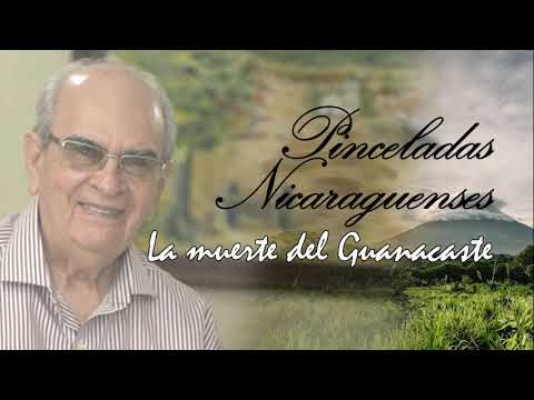Pinceladas Nicaragüenses - La muerte del Guanacaste