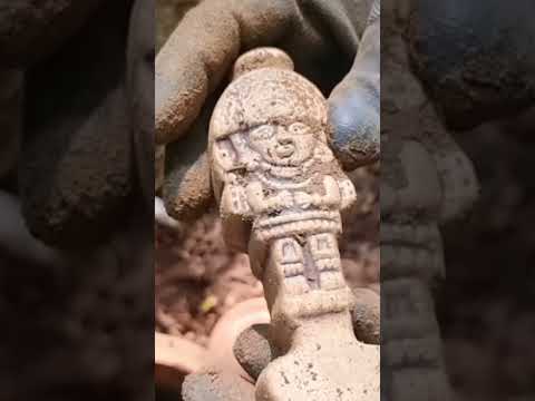 Fortuna Desenterrada dentro do vaso! 😳😳😳😳 #foryou #viralvideo