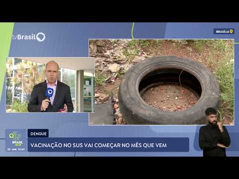 Vacina contra dengue estará disponível para 521 cidades a partir de fevereiro