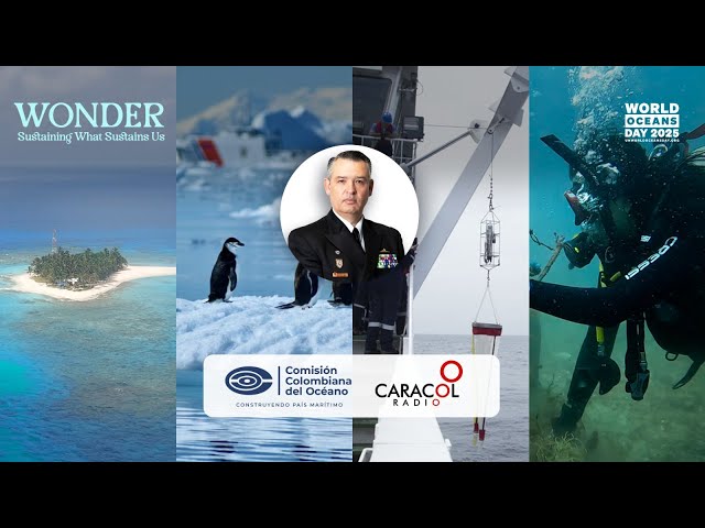 Así tituló el programa Caracol Sostenible, la entrevista que se realizó con motivo de la conmemoración del Día Mundial de los Océanos, en la cual entrevistaron al señor Capitán de Navío Juan Camilo Forero Hauzeur, Secretario Ejecutivo de la Comisión Colombiana del Océano.

https://cco.gov.co/dia-mundial-de-los-oceanos-por-que-debemos-cuidar-los-ecosistemas-marinos/