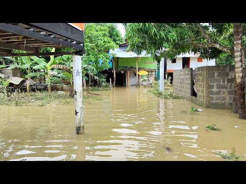 Alerta roja en Chigorodó por inundaciones - Teleantioquia Noticias