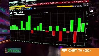 Thumbnail for the video "Jobs Report Will Not Help Fed: Berro" from Bloomberg Television