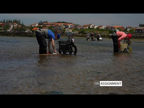 Can These Women Save Their Shellfish Craft? On Assignment | ITV News