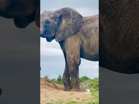 Sometimes all you need is a little pause in the day, just like Pisa ✨