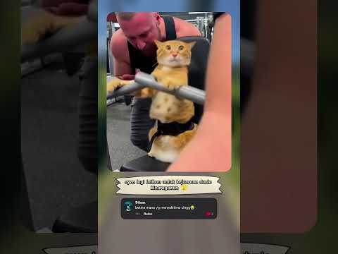 oyen jadi binaragawan dunia🫣