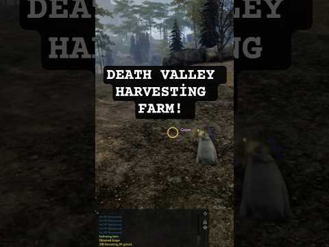 Rise Online, Death Valley Toplayıcılık! #harvesting #riseonline #mantis