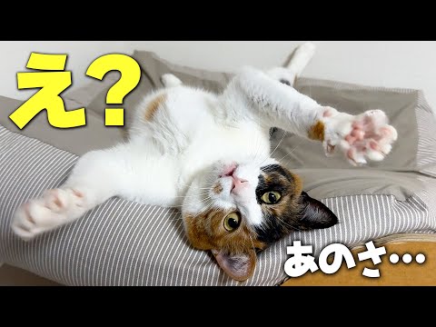 え？