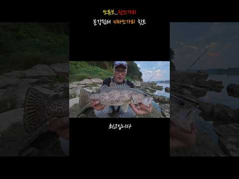 금강 분강쉼터 4짜 쏘가리  반갑게 만나고 즐겁게 돌려보내는 팀쏘가리 #쏘가리 #팀쏘가리 #fishing