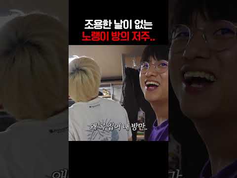 누수 + <strong>모기</strong> = 노랭이 방