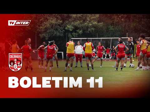 image para ilustrar o artigo