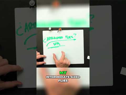 Unlock the secrets behind articulated flies in this Fly Tying Skill Builder! 🔥