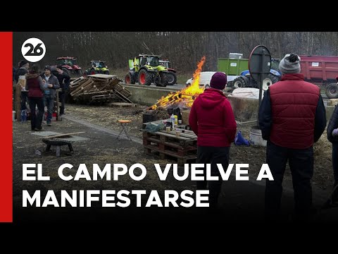 BÉLGICA | El campo vuelve a manifestarse en Bruselas