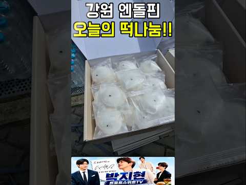 오늘 1시부터 강원 <strong>엔돌핀</strong> 한국민속예술제 나눔 시작합니다. #한국민속예술제 #박지현팬카페 #박지현가수