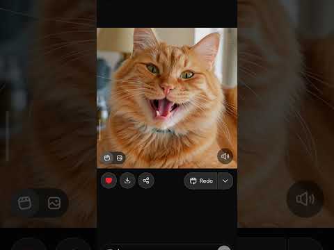 kucing ngomong asalamualaikum cantik #kucing #lucu #food #art #viral #fyp #makeup #lipstick #cantik