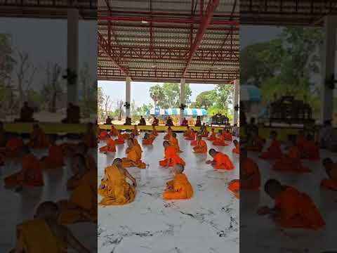 สาธุสาธุสาธุวัดป่าธรรมวงศาร