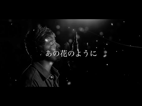 津田ユウキ - あの花のように 【OFFICIAL MUSIC VIDEO】