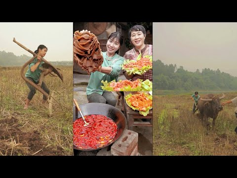 Yi Tian Tian plows the fields and goes home to eat pork chops and hairy tripe