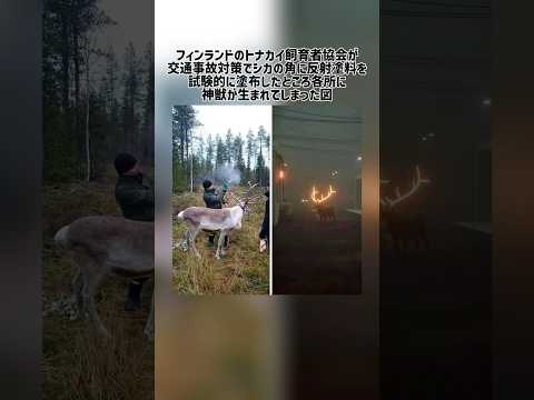フィンランドにおける神獣出現の背景とその理由 サムネイル