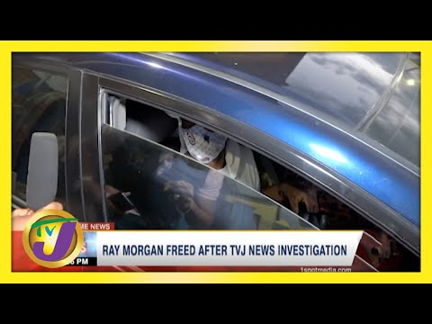 Jamaican Inmate Ray Morgan Freed After TVJ News Investigation | TVJ News - April 30 2021