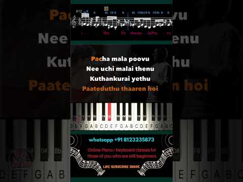 #pachamalapoovu  #ilayaraja  #spb  #piano  #tamilmusic #tamilcinema #tamillyrics #ilayarajabgm