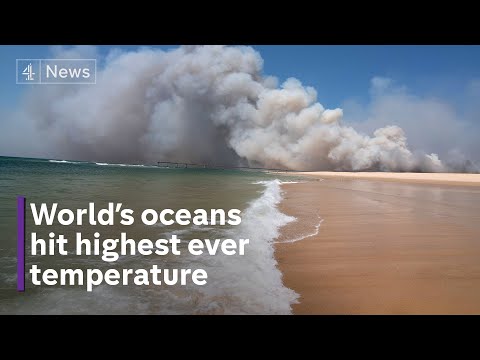 Ocean temperatures rise to new record high