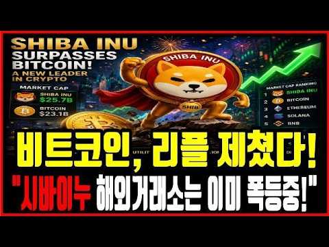 "올해 안에 1만 원 찍는 이유 <strong>공개</strong>"시바이누 홀더분들 <strong>영상</strong> 필수시청!! #시바이누코인 #시바이누코인분석 #시바이누전망