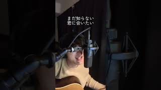 「cicada」