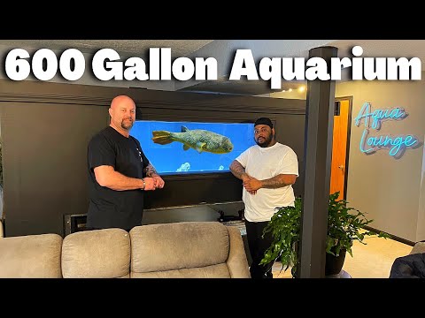 Man Builds DIY 600 Gallon Plywood Aquarium In His  Man Builds DIY 600 Gallon Plywood Aquarium In His Basement  *Tour*